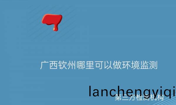 廣西(xi)欽(qin)州(zhou)哪裏(li)可以(yi)做環(huan)境(jing)監測(ce)