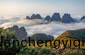 金(jin)秀環(huan)境檢(jian)測-金秀第(di)三方(fang)檢測(ce)機構(gou)